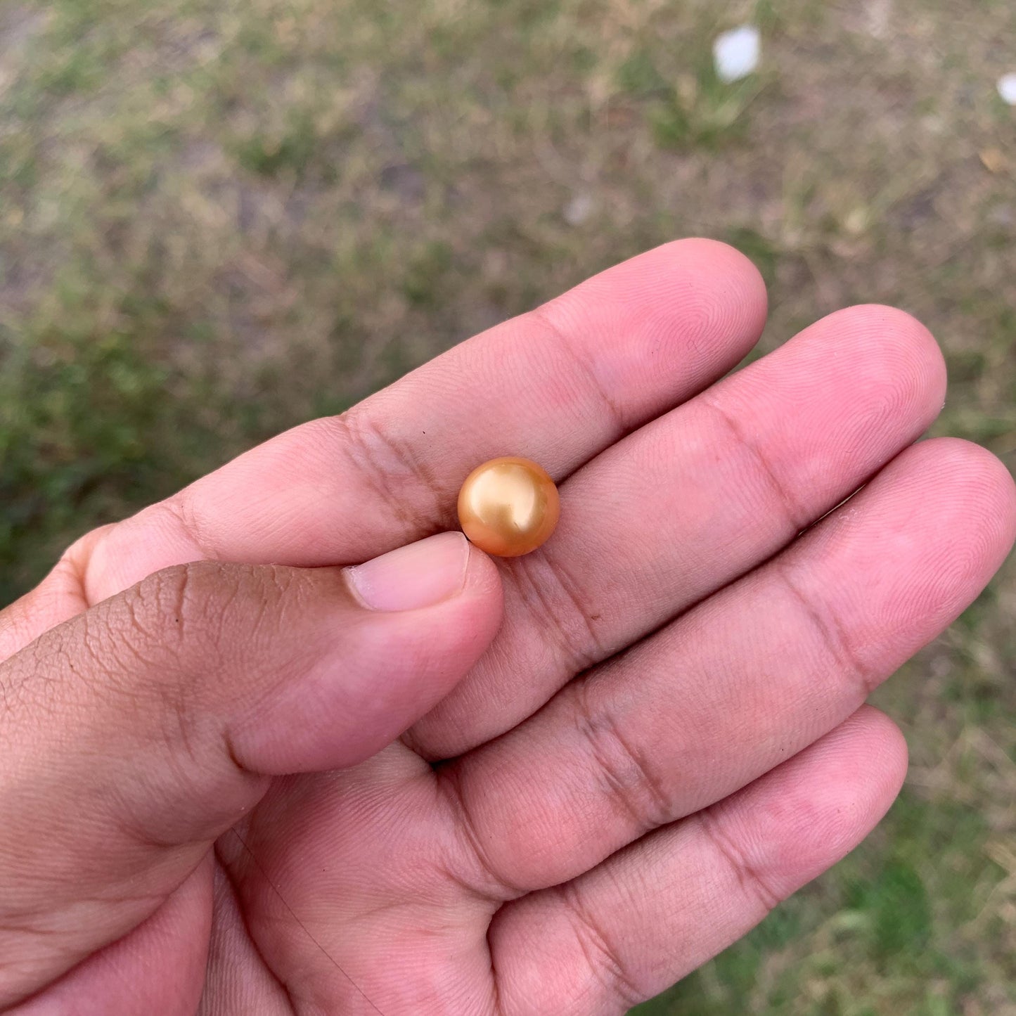 10.6mm Golden South Sea Pearl High Grade Loose Seawater Pearl PP3-6