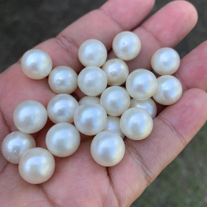 23 Pieces 11.69-11.9mm Indonesia Loose South Sea Pearl Seawater Pearl Beads Special edition Pearl BoZorX GR-22