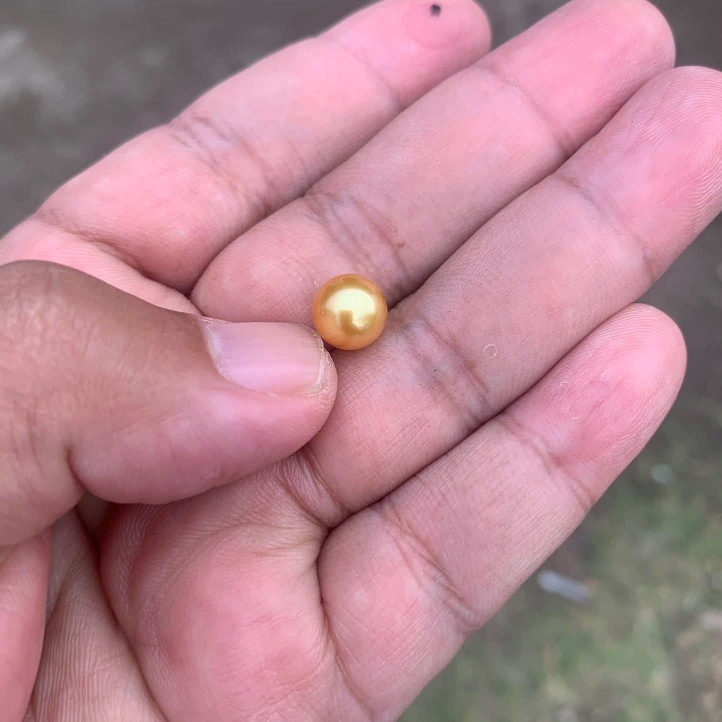 Loose Golden South Sea Pearl Beads Sea Pearl Beads High Grade Loose Saltwater Pearl Bead Small-4