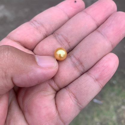 Loose Golden South Sea Pearl Beads Sea Pearl Beads High Grade Loose Saltwater Pearl Bead Small-4