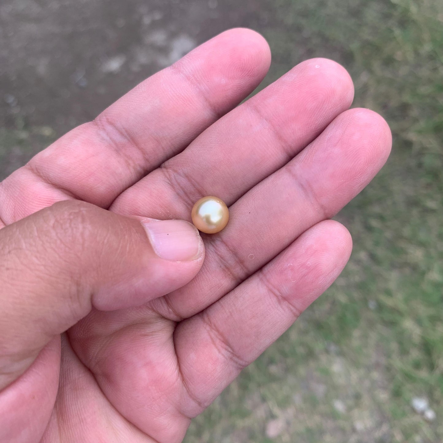 Loose Golden South Sea Pearl Beads Sea Pearl Beads High Grade Loose Saltwater Pearl Bead Small-3