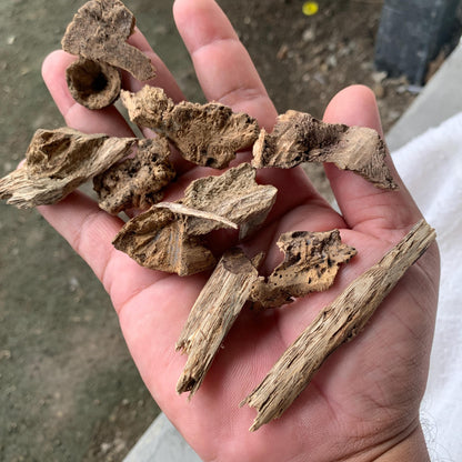 Agarwood Oud Aloes wood Englewood 50 Grams C4