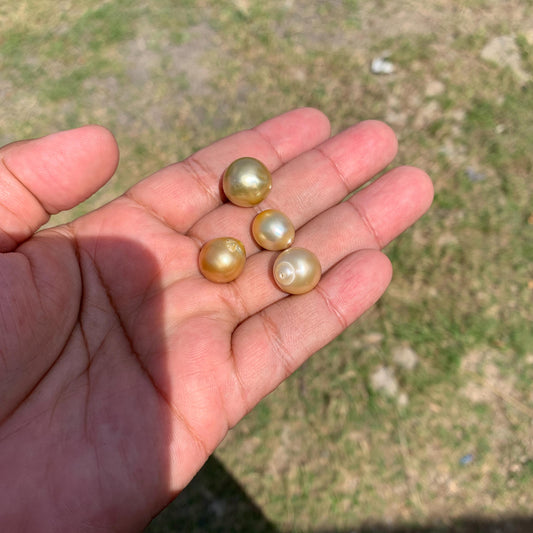 11.5-14.5mm Loose Indonesia White Sea Pearl White South Sea Pearl Half drill BoZorX LG