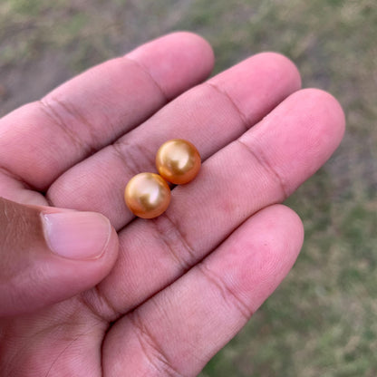 9.6mm Golden South Sea Pearl Pair High Grade Loose Gemstones PP3-8