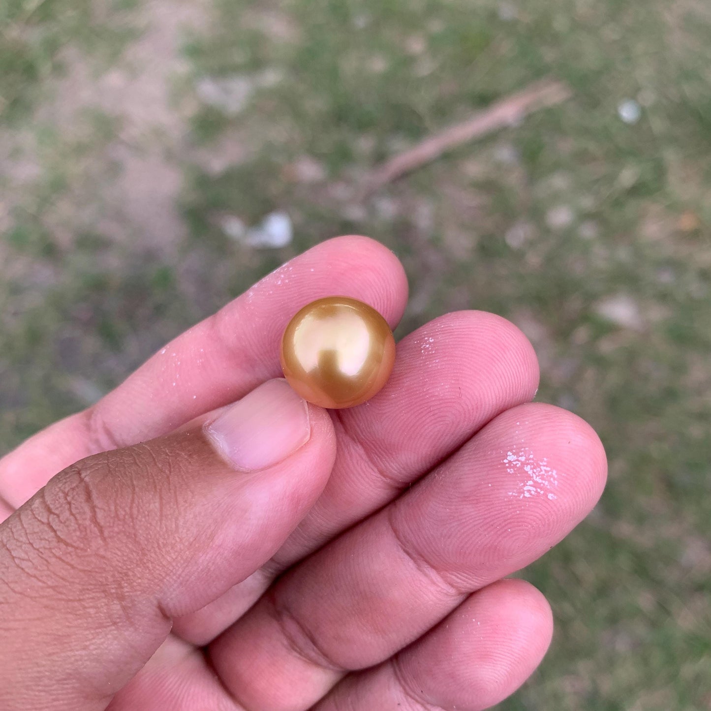 14mm Golden South Sea Button Pearl High Grade Loose Saltwater Pearl PP4-1