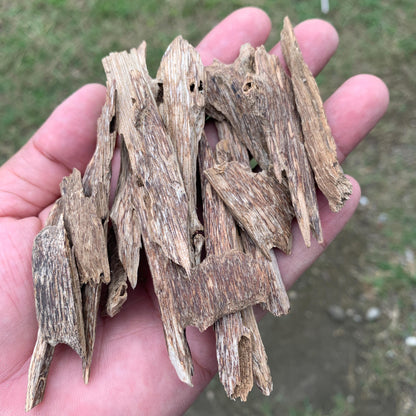 50グラム 沉香 奇楠 沈香 العود C7 50 Grams Agarwood Oud