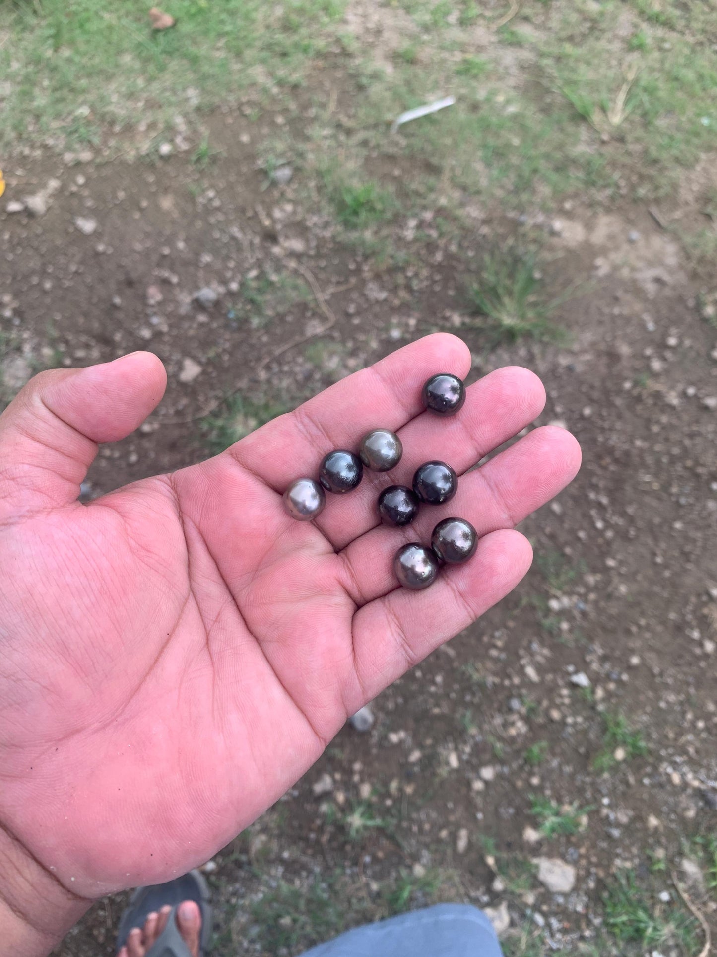 8 Pcs 11mm Loose Seawater Black Pearl Tahitian Edition Pearl Beads BoZorX BT-3