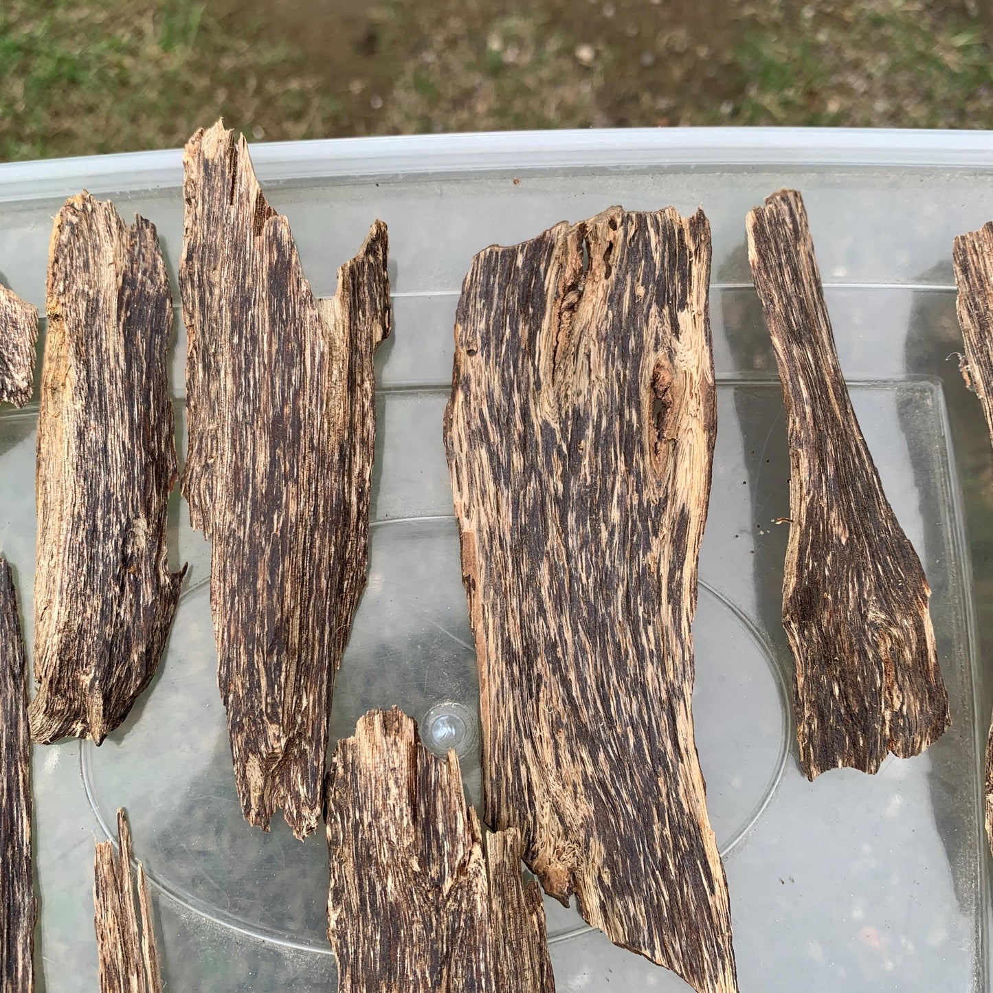 50 Grams Indonesia Agarwood Chips