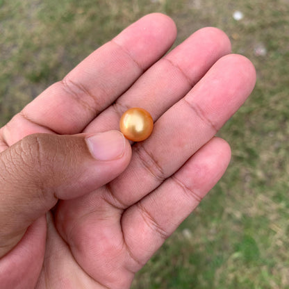 12mm Golden South Sea Pearl High Grade Loose Gold Seawater Pearl PP3-5