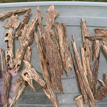 50グラム 沉香 奇楠 沈香 العود C7 50 Grams Agarwood Oud