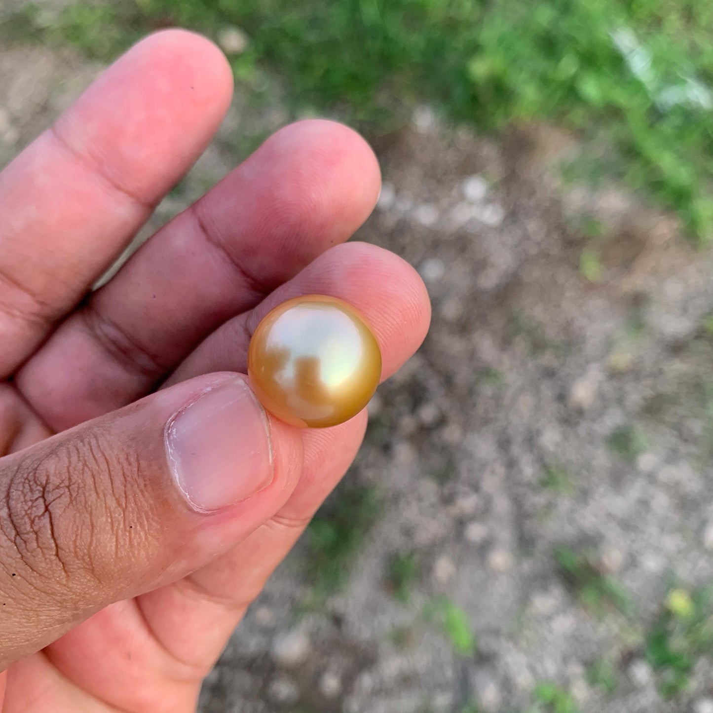 16.2x15.4mm Large Golden South Sea Pearl Undrilled Seawater Pearl PP-2