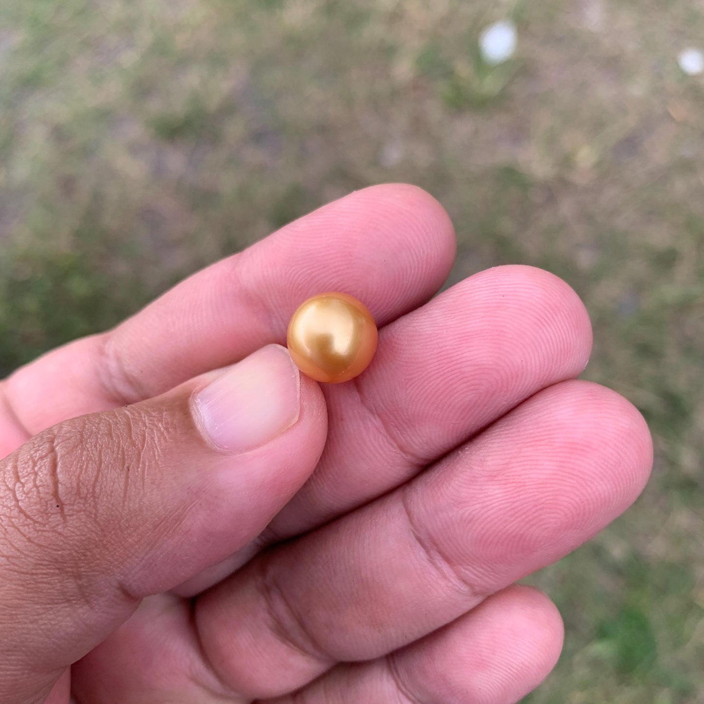 10.6mm Golden South Sea Pearl High Grade Loose Seawater Pearl PP3-6