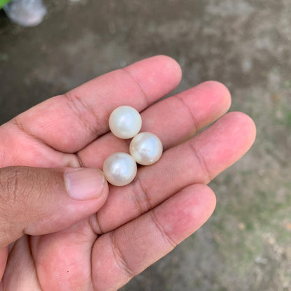 Indonesia Loose Seawater Pearl Special Edition Pearl Beads BoZorX Auct-I