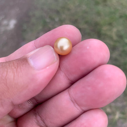 Loose Golden South Sea Pearl Beads Sea Pearl Beads High Grade Loose Saltwater Pearl Bead Small-2