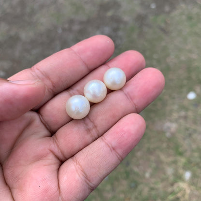 Indonesia Loose Seawater Pearl Special Edition Pearl Beads BoZorX Auct-L