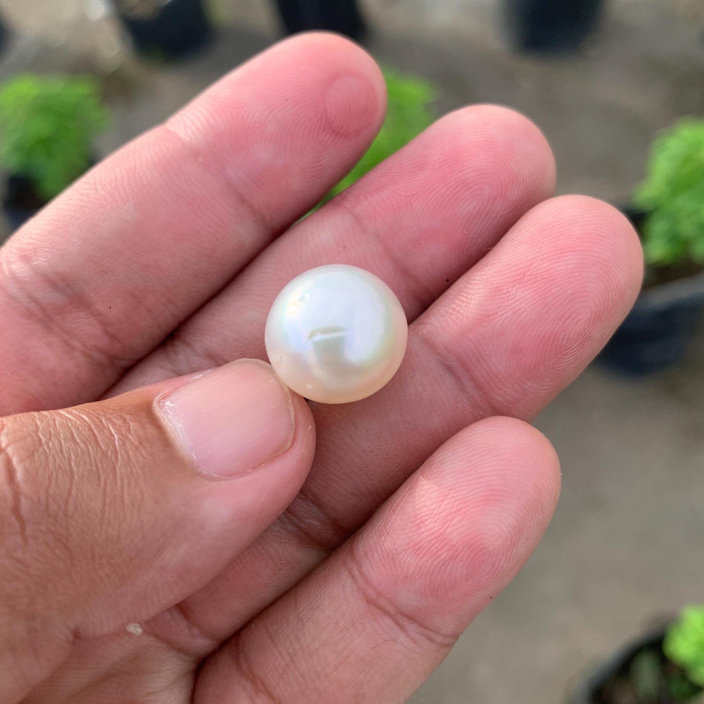 14.6mm Loose White South Sea Pearl Indonesia BoZorX FR-4