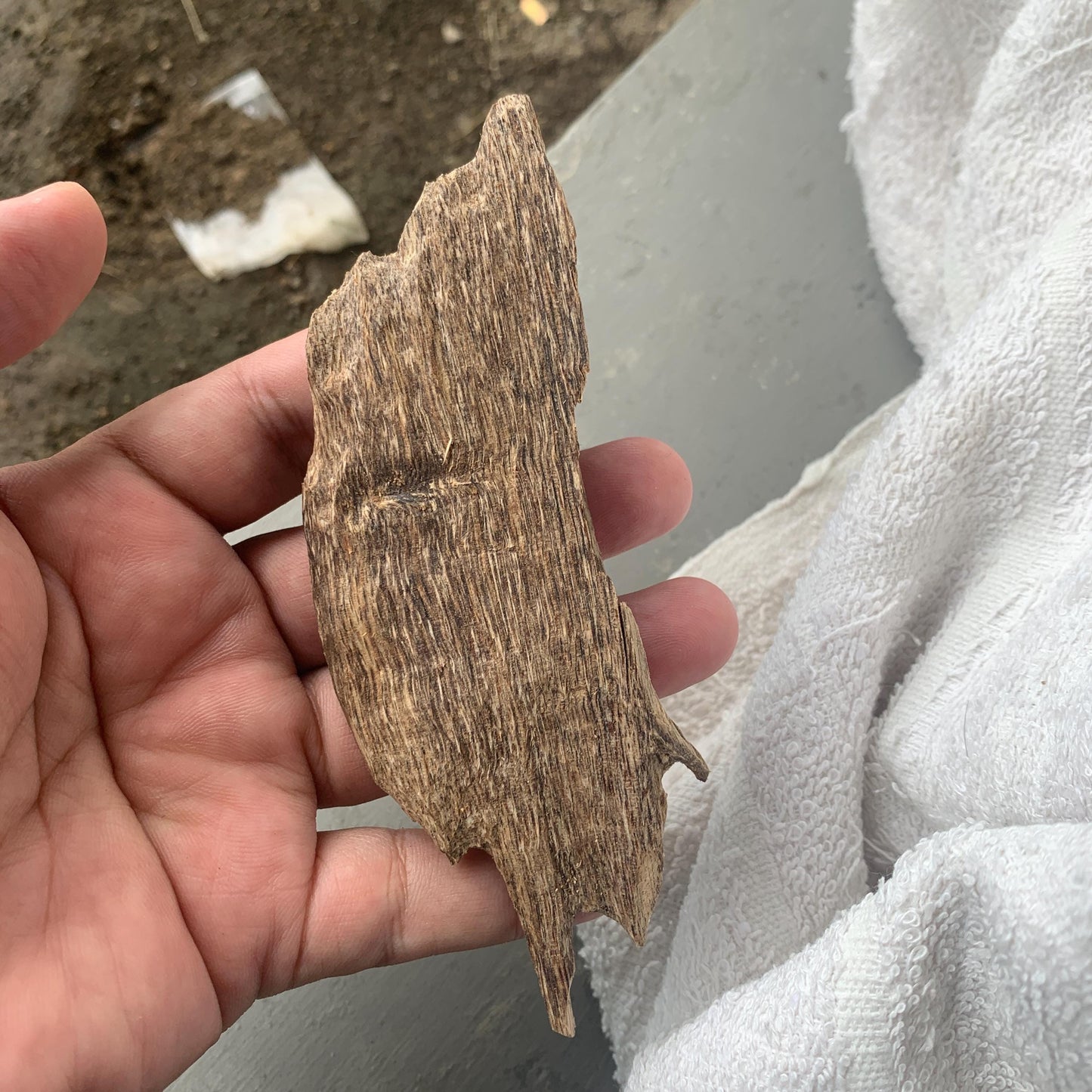 Agarwood Chips 沉香 Chénxiāng Oud Incense Oudh Xiāng Kyara Kynam Aloeswood Kinam 奇楠 qí nán 沈香 Jinkō Englewood 50 Grams العود Small Chips C3