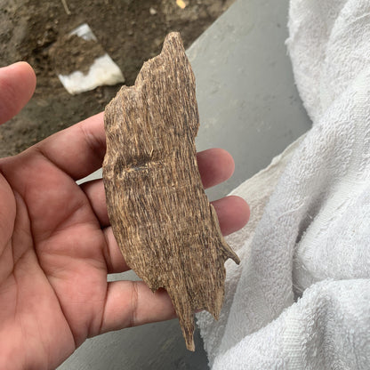 Agarwood Chips 沉香 Chénxiāng Oud Incense Oudh Xiāng Kyara Kynam Aloeswood Kinam 奇楠 qí nán 沈香 Jinkō Englewood 50 Grams العود Small Chips C3