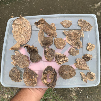 Natural Incense Agarwood Chip Chénxiāng Oud Oudh Xiāng Kyara Kynam Aloeswood Kinam qí nán Jinkō Englewood 50 Grams C6