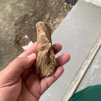 Agarwood Chips Chénxiāng Oud Incense Oudh Xiāng Kyara Kynam Aloeswood Kinam qí nán Jinkō Englewood 50 Grams C5 Solid Wood