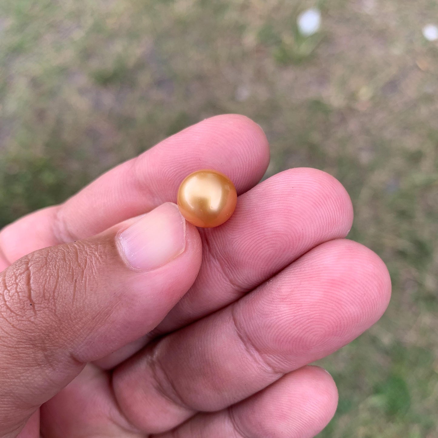 10.6mm Golden South Sea Pearl High Grade Loose Seawater Pearl PP3-6