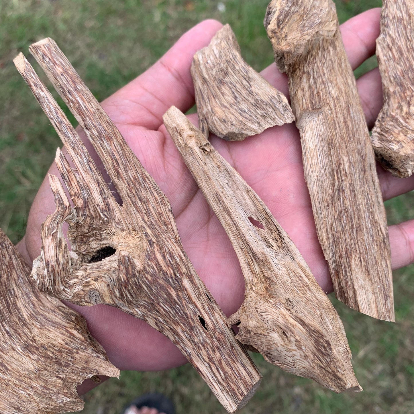 50克 沉香 奇楠 沈香 العود 50 Grams Agarwood Oud C9