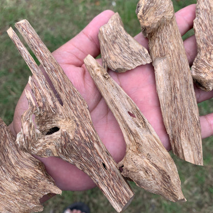 50克 沉香 奇楠 沈香 العود 50 Grams Agarwood Oud C9
