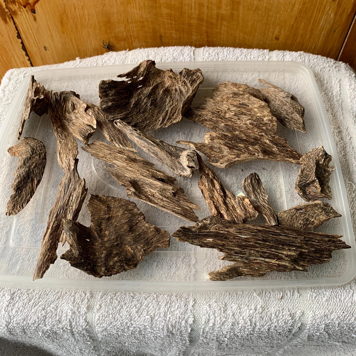 50 Grams Agarwood Oud 沉香 奇楠 沈香 العود C7