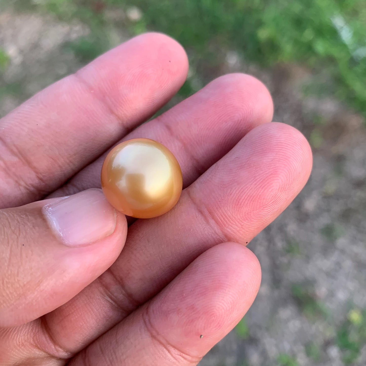 16.2x15.4mm Large Golden South Sea Pearl Undrilled Seawater Pearl PP-2