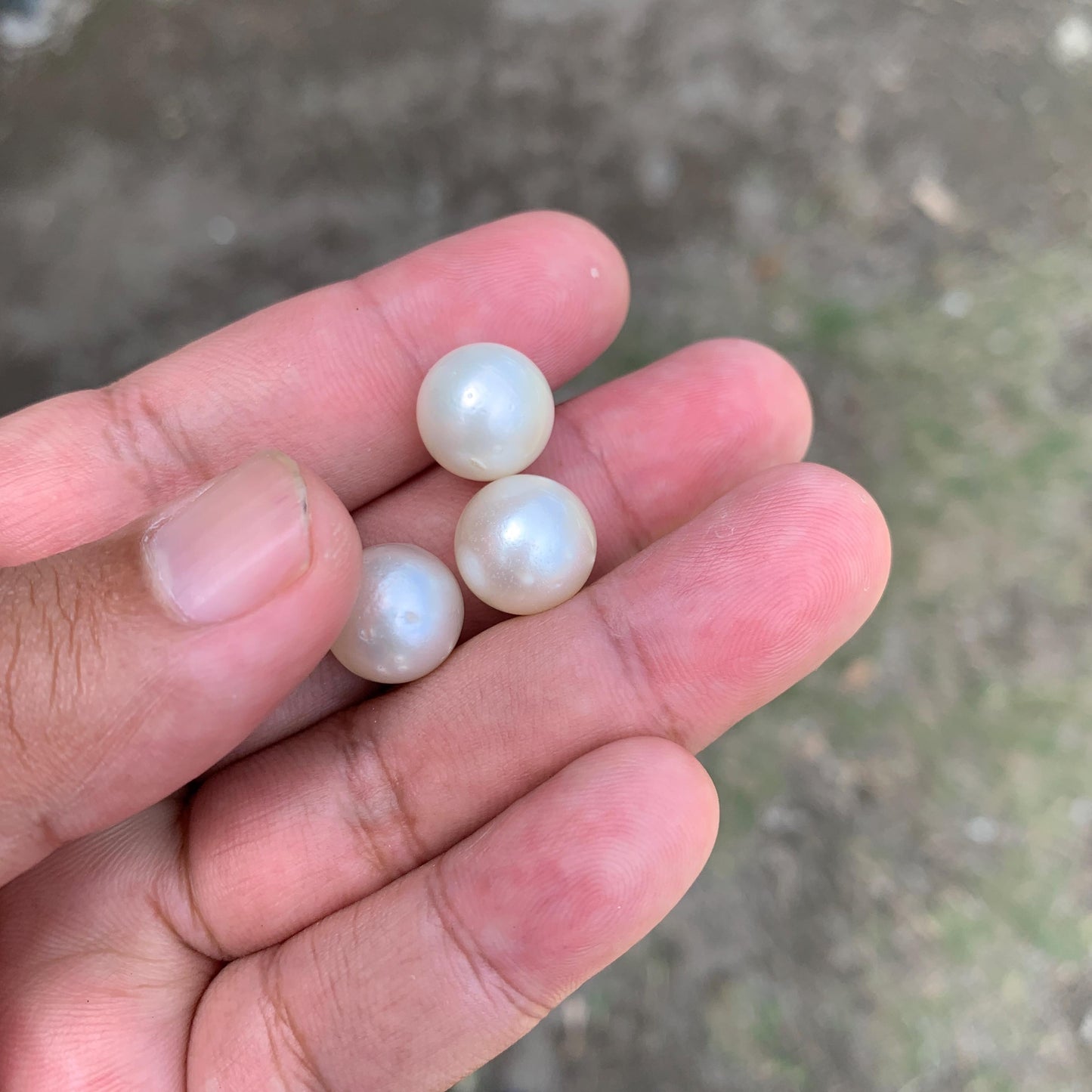 Indonesia Loose Seawater Pearl Special Edition Pearl Beads BoZorX Auct-I