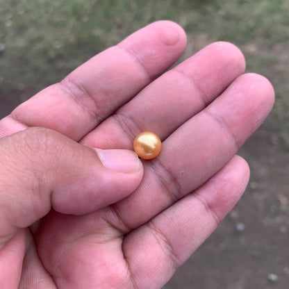 Loose High Grade Golden South Sea Pearl High Grade Loose Seawater Saltwater Pearl Small-1