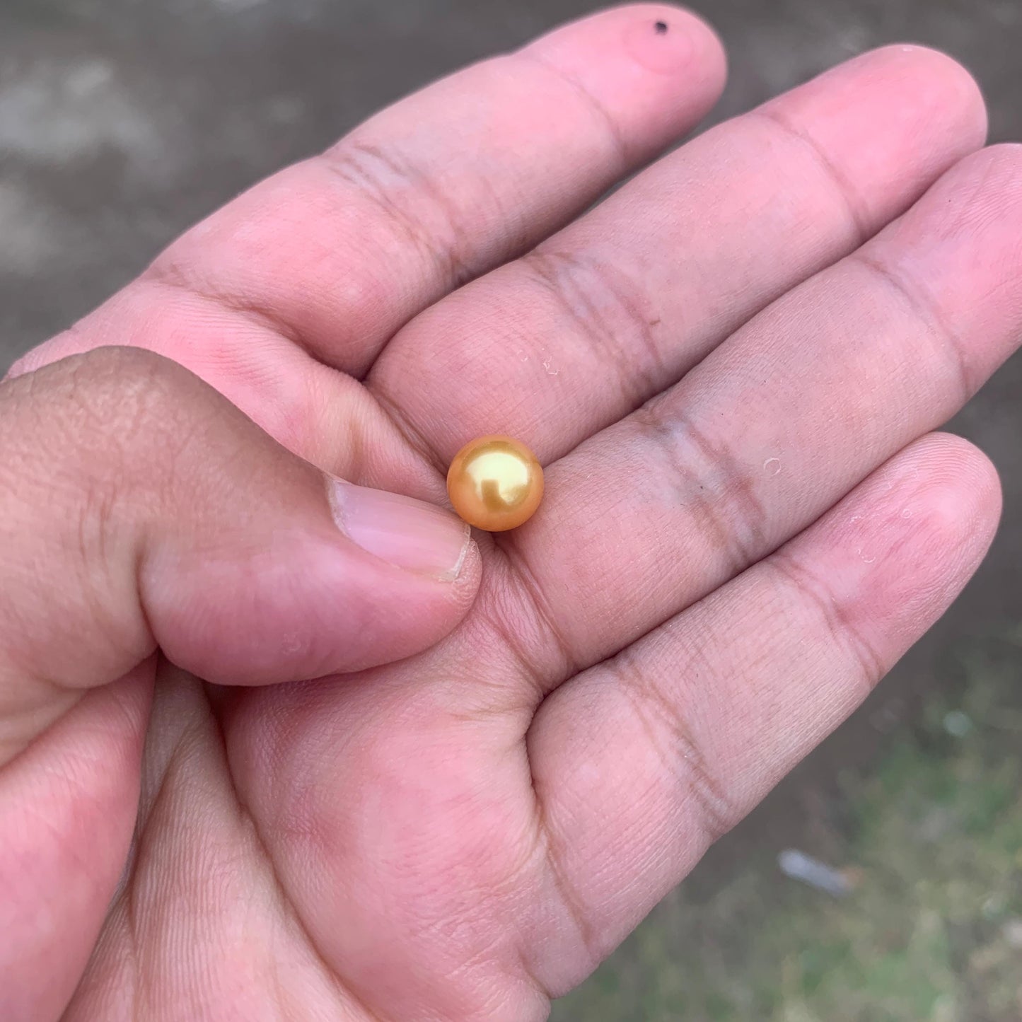 Loose Golden South Sea Pearl Beads Sea Pearl Beads High Grade Loose Saltwater Pearl Bead Small-4