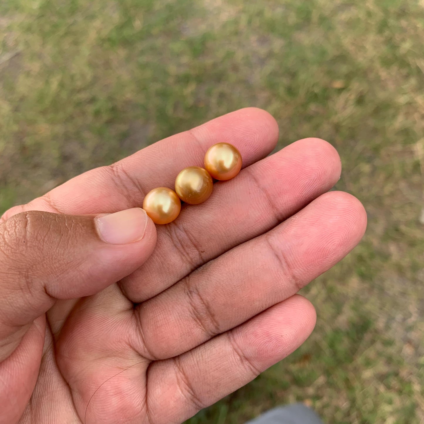 3 Pcs 10mm Golden South Sea Pearls High Grade Loose Gem  PP3-7