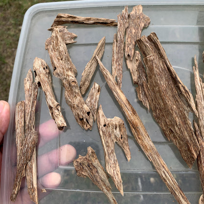 50グラム 沉香 奇楠 沈香 العود C7 50 Grams Agarwood Oud