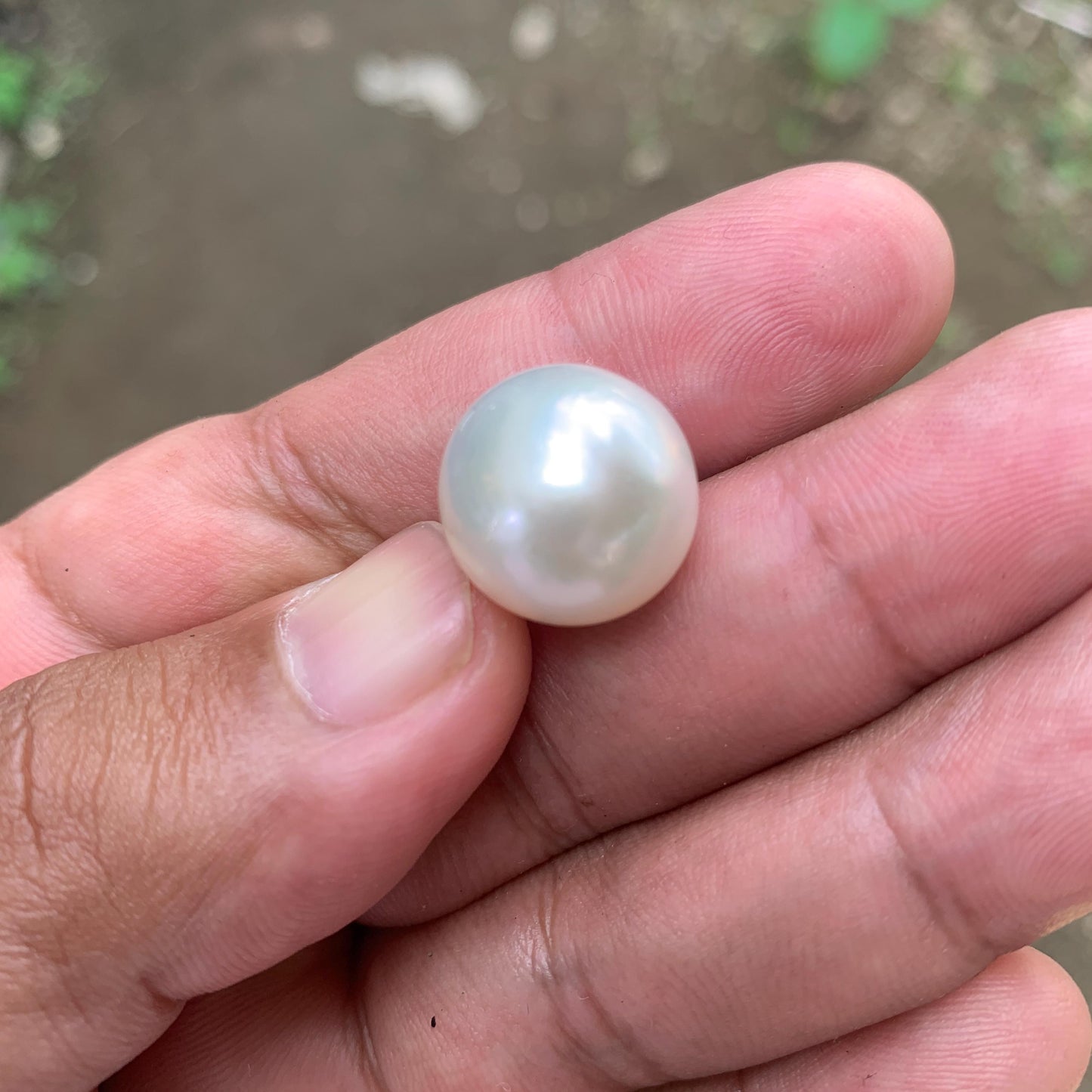 White South Sea Pearl: Loose Indonesia Pearl (15.7x15.4mm) BoZorX FR-1