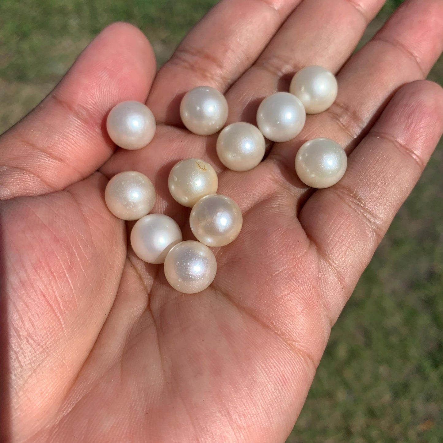 11 Pieces 11.5-11.69mm Indonesia Loose South Sea Pearl Seawater Pearl Beads Special edition Pearl BoZorX GR-26