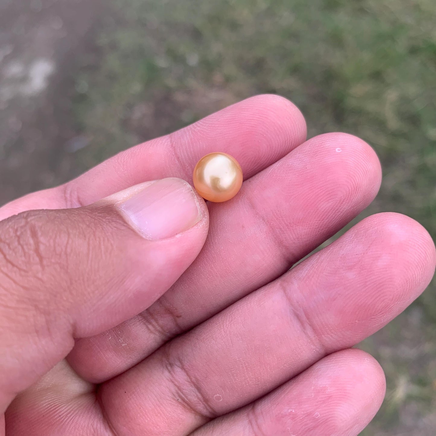 Loose Golden South Sea Pearl Beads Sea Pearl Beads High Grade Loose Saltwater Pearl Bead Small-2