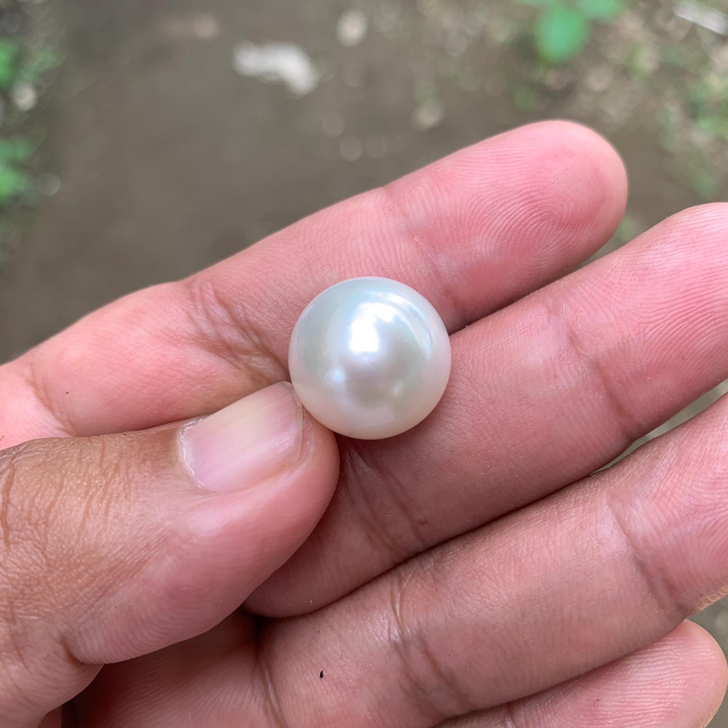 White South Sea Pearl: Loose Indonesia Pearl (15.7x15.4mm) BoZorX FR-1