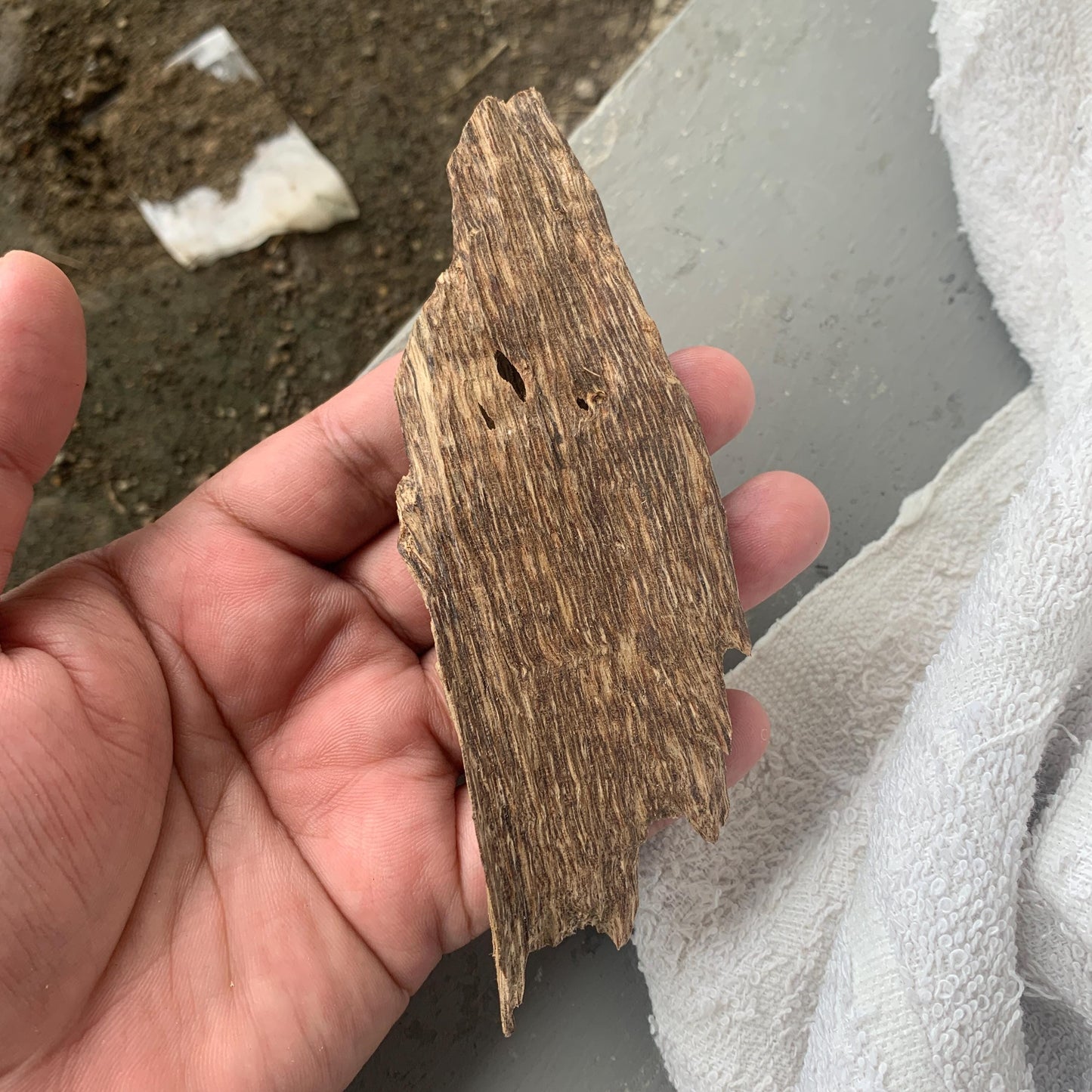 Agarwood Chips 沉香 Chénxiāng Oud Incense Oudh Xiāng Kyara Kynam Aloeswood Kinam 奇楠 qí nán 沈香 Jinkō Englewood 50 Grams العود Small Chips C3