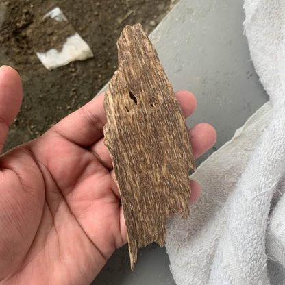 Agarwood Chips 沉香 Chénxiāng Oud Incense Oudh Xiāng Kyara Kynam Aloeswood Kinam 奇楠 qí nán 沈香 Jinkō Englewood 50 Grams العود Small Chips C3