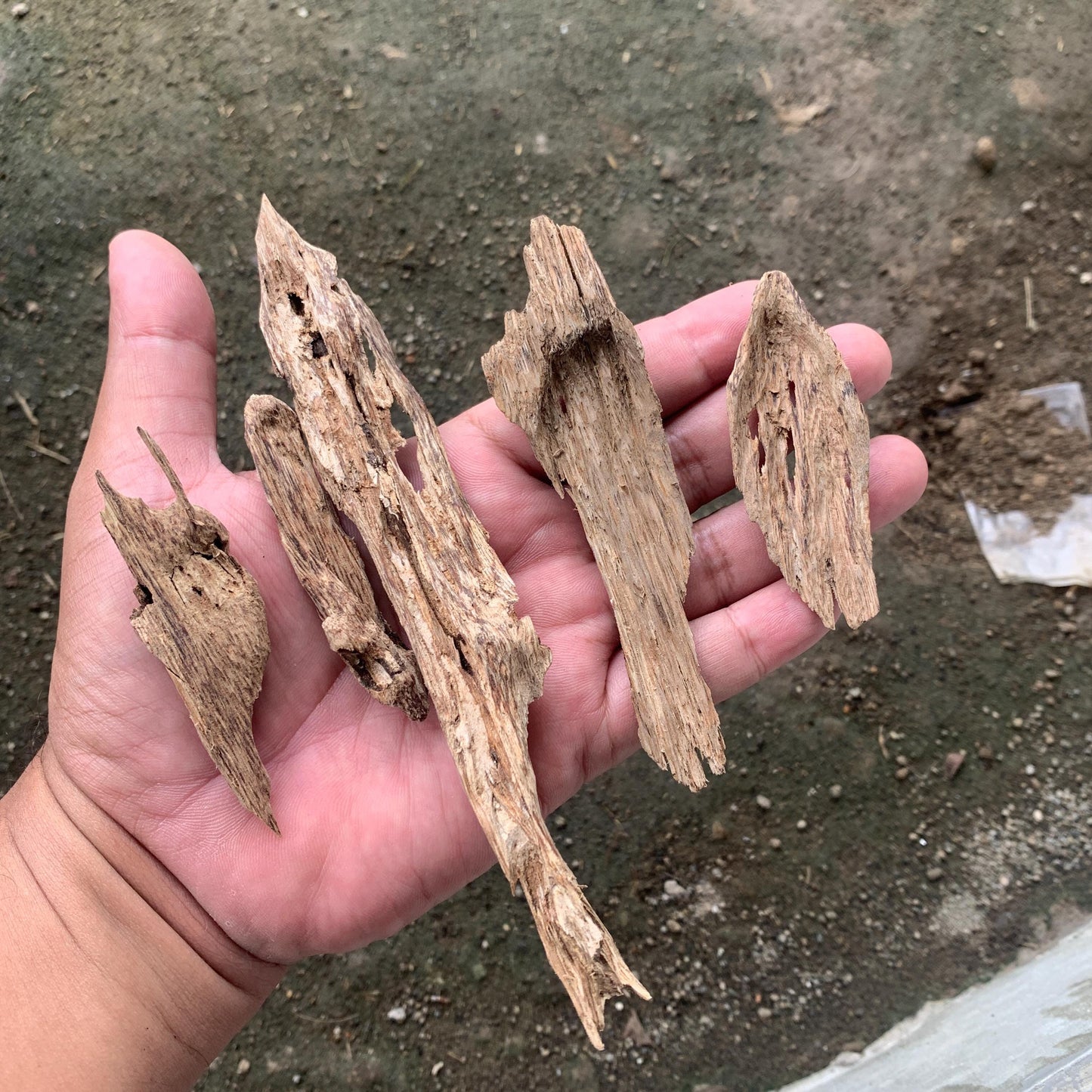 Agarwood Oud Aloes wood Englewood 50 Grams C4