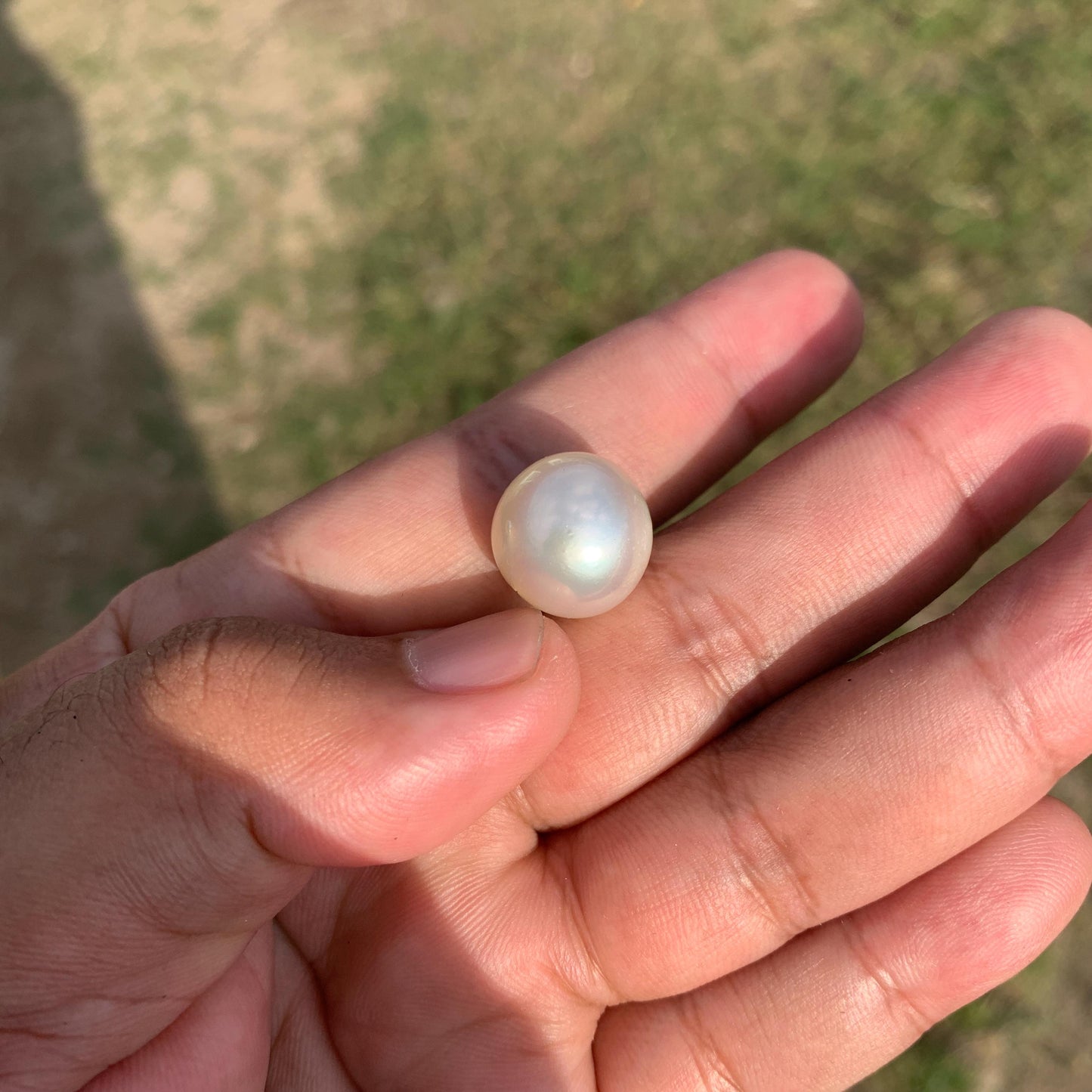White South Sea Pearl Loose Indonesia Pearl (15.2x14.7mm) BoZorX FR-3