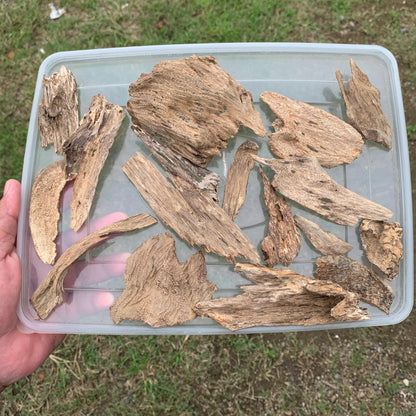 50 Grams Agarwood Oud 沉香 奇楠 沈香 العود C7