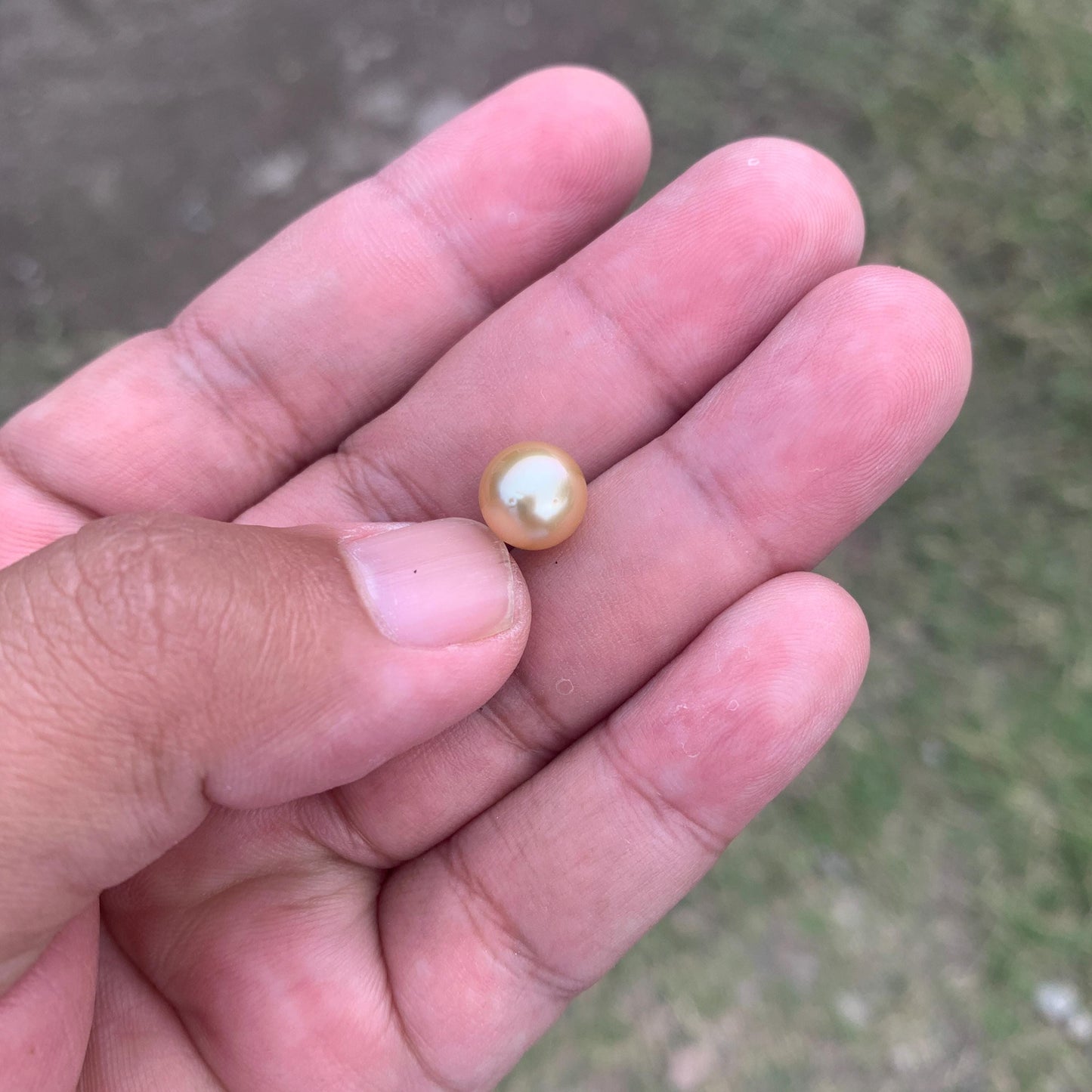 Loose Golden South Sea Pearl Beads Sea Pearl Beads High Grade Loose Saltwater Pearl Bead Small-3