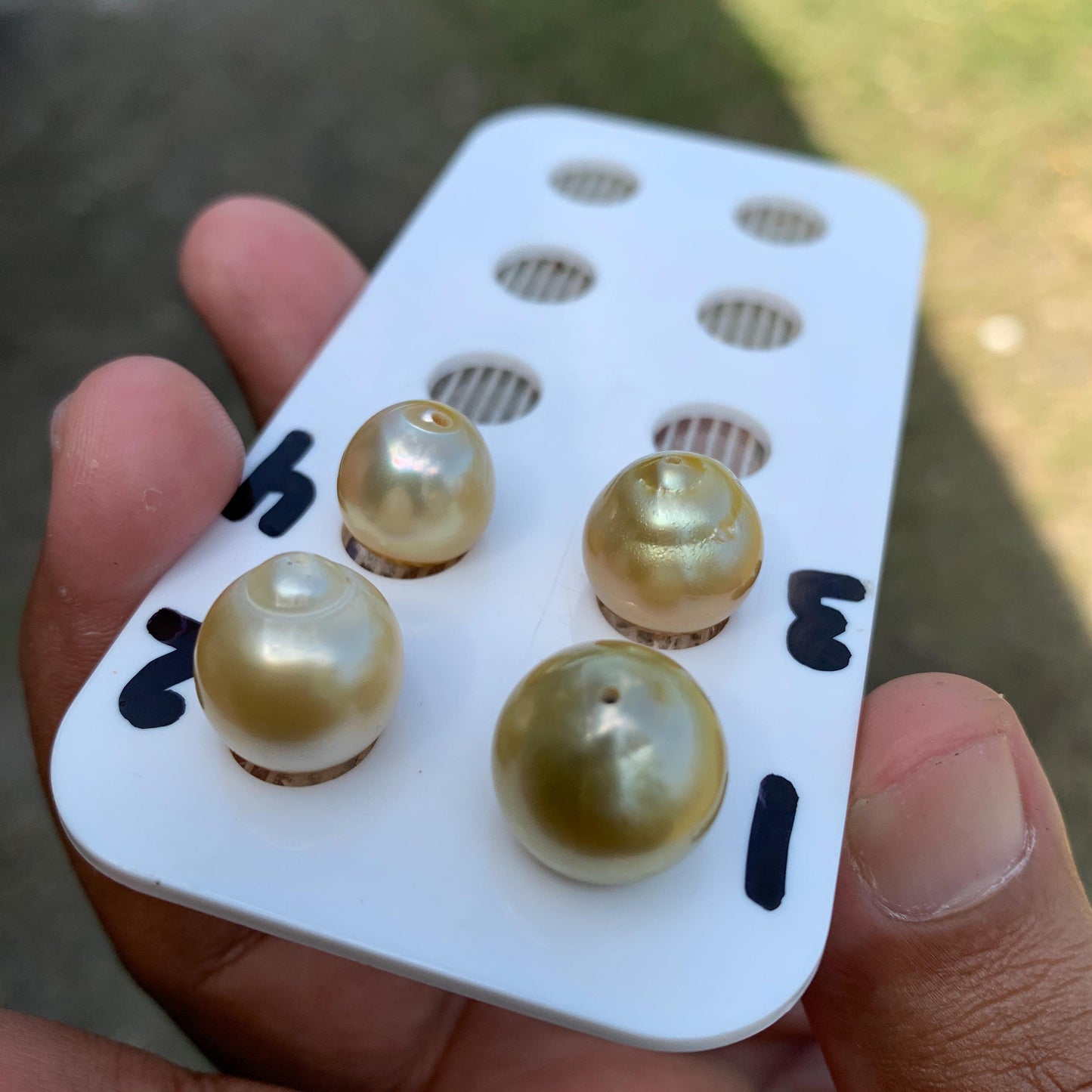 11.5-14.5mm Loose Indonesia White Sea Pearl White South Sea Pearl Half drill BoZorX LG