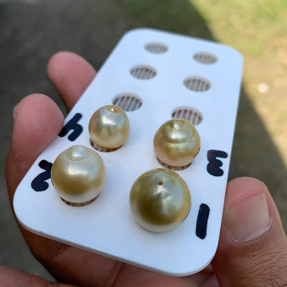 11.5-14.5mm Loose Indonesia White Sea Pearl White South Sea Pearl Half drill BoZorX LG