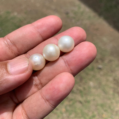Indonesia Loose Seawater Pearl Special Edition Pearl Beads BoZorX Auct-E