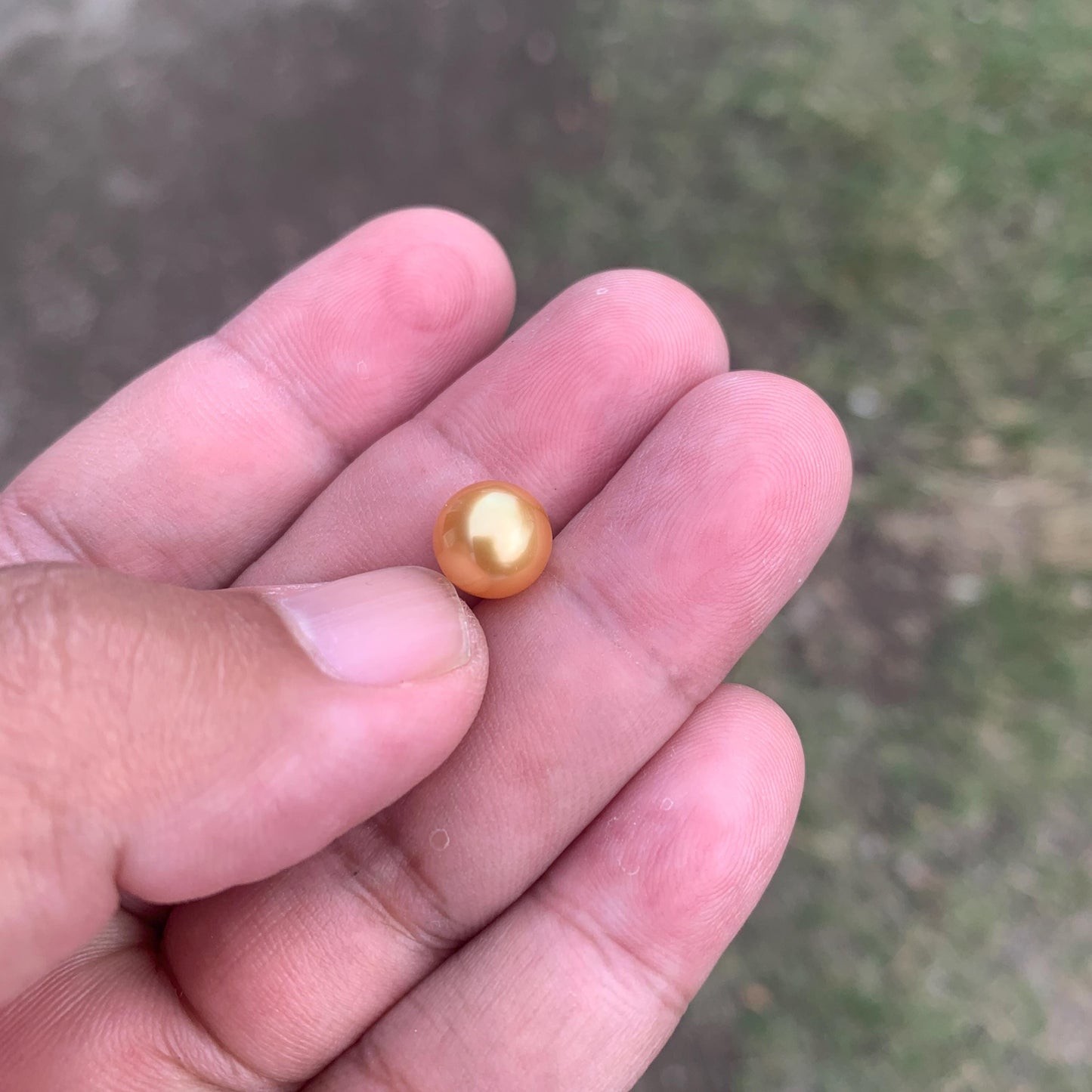 Loose High Grade Golden South Sea Pearl High Grade Loose Seawater Saltwater Pearl Small-1