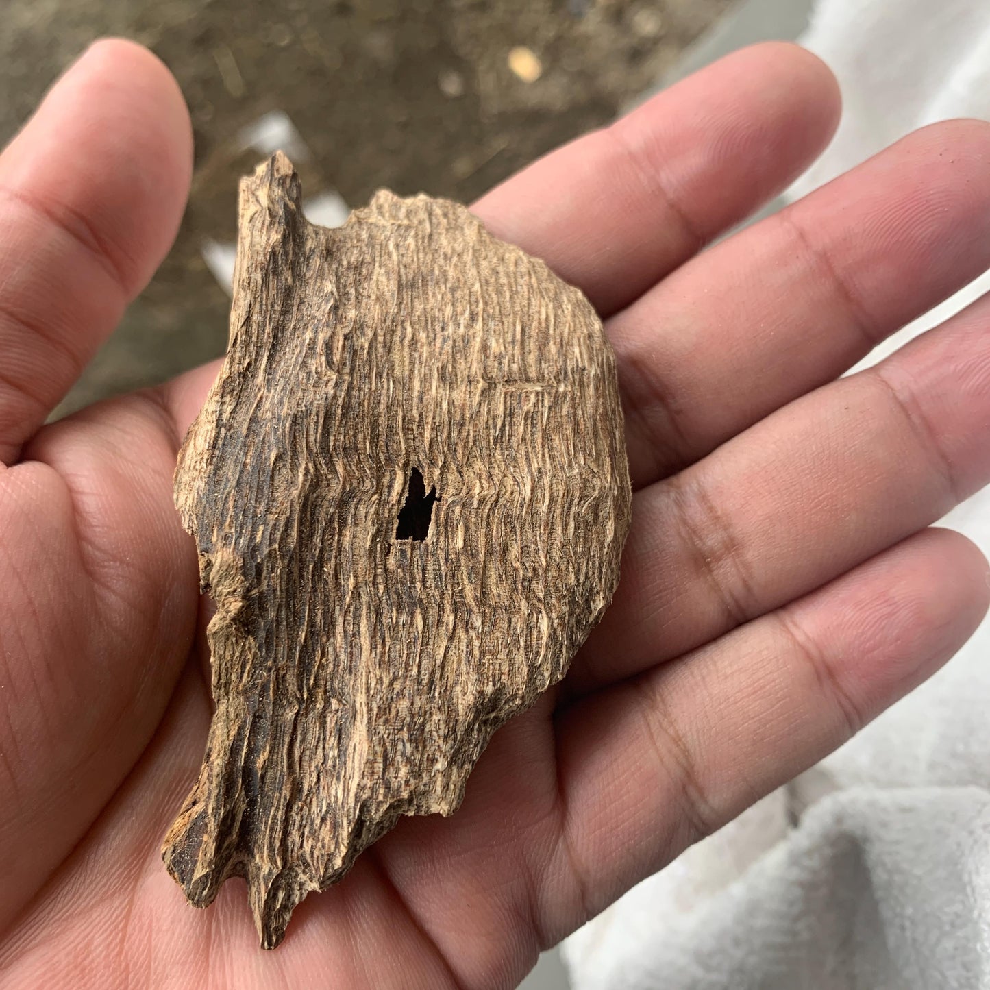 Agarwood Chips 沉香 Chénxiāng Oud Incense Oudh Xiāng Kyara Kynam Aloeswood Kinam 奇楠 qí nán 沈香 Jinkō Englewood 50 Grams العود Small Chips C3