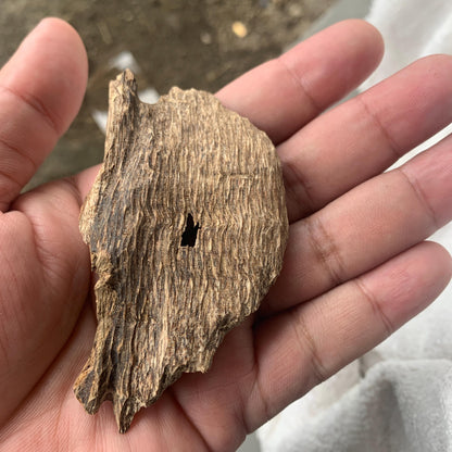 Agarwood Chips 沉香 Chénxiāng Oud Incense Oudh Xiāng Kyara Kynam Aloeswood Kinam 奇楠 qí nán 沈香 Jinkō Englewood 50 Grams العود Small Chips C3